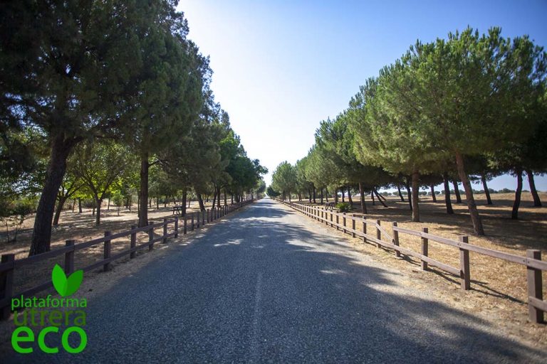 Bienvenidos a Utrera ECO